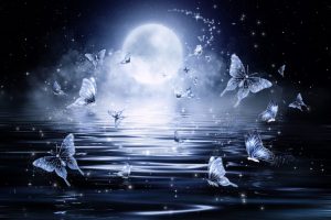 moon-full-butterfly-black-night-public-domain-pixabay-2702381_1920-1024×691