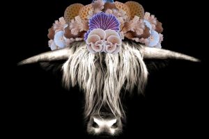 NewMoonTaurus2018